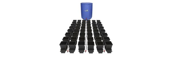Autopot