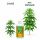 Advanced Hydroponics Final Solution 500 ml - Flushing Agent for Hydroponic Systems