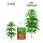 Advanced Hydroponics Growth/Bloom Excellarator 250 ml - Stimulator Klein