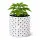 Root Plus Plant Pot 1.5 Liter