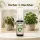 BioBizz Acti Vera 5 Liter - Pflanzenaktivator & Vitalizer