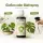BioBizz Acti Vera 500 ml - Pflanzenaktivator & Vitalizer
