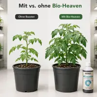 BioBizz Bio Heaven 1 Liter - Energie-Booster für Pflanzen