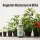 BioBizz Bio Heaven 500 ml - Energie-Booster für Pflanzen