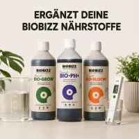 Biobizz pH+ Plus 1 Liter - pH Regulator for Plants