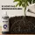 Biobizz pH+ Plus 1 Liter - pH Regulator for Plants