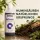 BioBizz pH+ PLUS 250 ml - pH Regulator for Plants