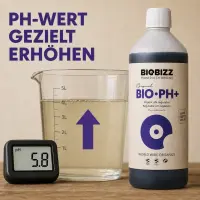Biobizz pH+ Plus 500 ml - pH Regulator for Plants