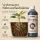 BioBizz Root Juice 1 Liter – Organic Root Stimulator