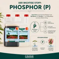 Canna Aqua Flores A&B 1 Liter – Hydro Bloom...