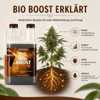 Canna Bio Boost 250 ml – Bio Blütestimulator
