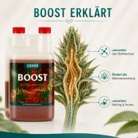 Canna Boost 10 Liters – Bloom Stimulator XXL