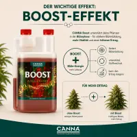 Canna Boost 250 ml – Bloom Stimulator Small