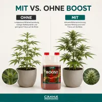 Canna Boost 250 ml – Bloom Stimulator Small