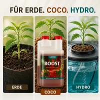 Canna Boost 250 ml – Bloom Stimulator Small