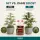 Canna Boost 250 ml – Bloom Stimulator Small