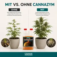 Canna Cannazym 1 Liter – Enzyme Formula for Plant Health
