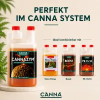 Canna Cannazym 1 Liter – Enzyme Formula for Plant Health