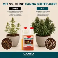 Canna COGr Buffer Agent 1 Liter – pH Buffer Solution