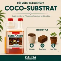 Canna COGr Buffer Agent 1 Liter – pH Buffer Solution