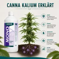 Canna Kalium 1 Liter – Kalium Zusatz Pflanzen