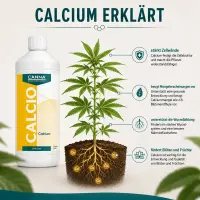 Canna Kalzium 1 Liter – Kalzium Zusatz Pflanzen