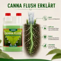 Canna Flush 250 ml – Pflanzen Spülmittel Klein
