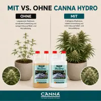 Canna Hydro Flores A&B 10 Liters – Hydroponic Bloom Nutrient A+B Bulk