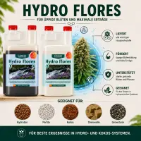Canna Hydro Flores A&B 10 Liters – Hydroponic Bloom Nutrient A+B Bulk