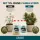 Canna Hydro Flores A&B 10 Liters – Hydroponic Bloom Nutrient A+B Bulk