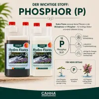 Canna Hydro Flores A&B 5 Liters – Hydroponic Bloom Nutrient A+B