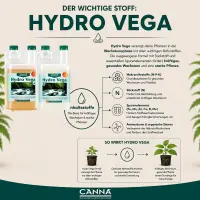 Canna Hydro Vega A & B Dünger-Set – 2 × 10 Liter (20 Liter Gesamtmenge)