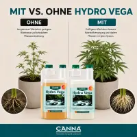Canna Hydro Vega A & B Dünger-Set – 2 × 5 Liter (10 Liter Gesamtmenge)