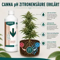 Canna pH Minus Citric Acid 1 Liter – pH Reducer...