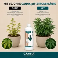 Canna pH Minus Citric Acid 1 Liter – pH Reducer Citric Acid