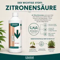 Canna pH Minus Citric Acid 1 Liter – pH Reducer Citric Acid