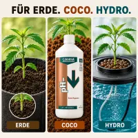 Canna pH Minus Citric Acid 1 Liter – pH Reducer Citric Acid