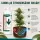 Canna pH Minus Citric Acid 1 Liter – pH Reducer Citric Acid