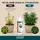 Canna pH Minus Citric Acid 1 Liter – pH Reducer Citric Acid