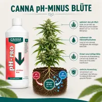 Canna pH Down 1 Liter for Bloom – pH Reducer