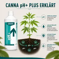 Canna pH+ Plus 1 Liter – pH Up Solution