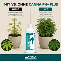 Canna pH+ Plus 1 Liter – pH Up Solution