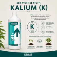 Canna pH+ Plus 1 Liter – pH Up Solution