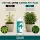 Canna pH+ Plus 1 Liter – pH Up Solution