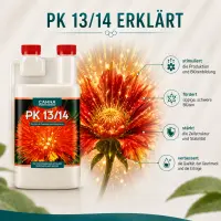 Canna PK 13/14 5 Liters – Bloom Booster for Large Scale Cultivation