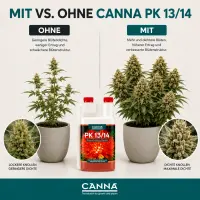 Canna PK 13/14 500 ml – PK Blütebooster