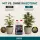 Canna Rhizotonic 10 Liter – Wurzelstimulator XXL