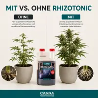 Canna Rhizotonic 250 ml – Wurzelstimulator Klein