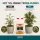 Canna Terra Flores 1 Liter – Mineralischer Blütedünger