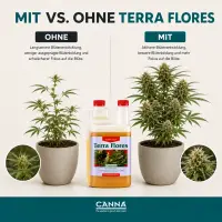 Canna Terra Flores 5 Liters – Mineral Bloom Fertilizer